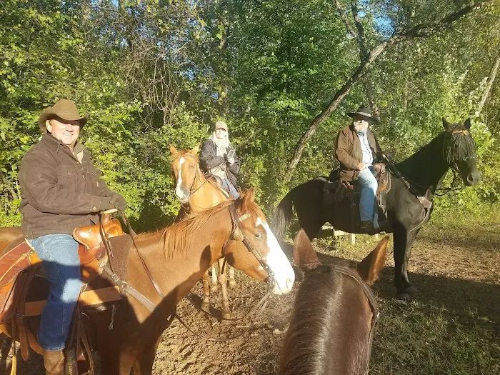 Ukarydee Equestrian Camping 2