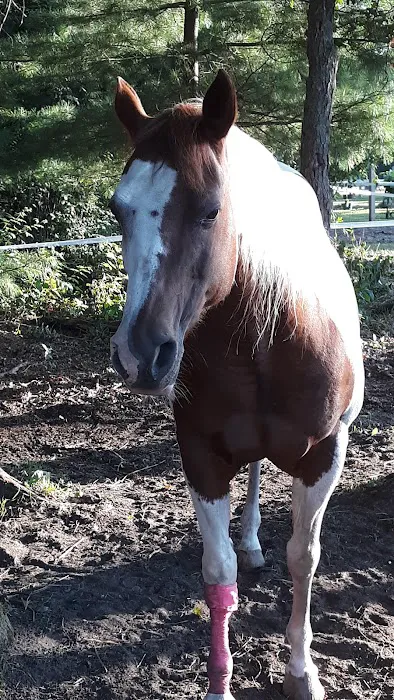 Ukarydee Equestrian Camping 8