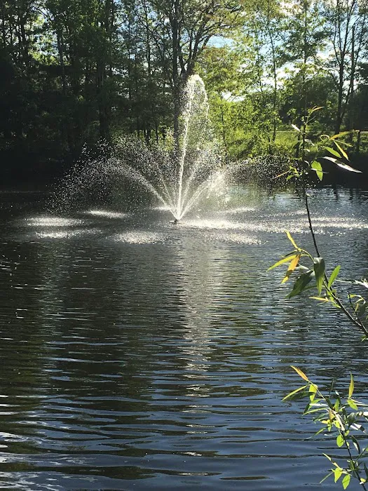 Woods Edge Campground 3