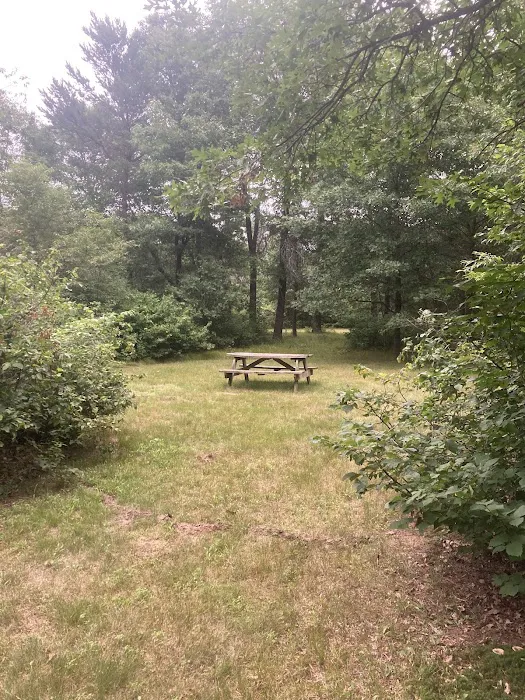 Moonlite Trails Campground Llc 6