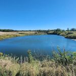 Ponderosa Wilderness