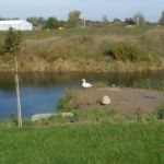 Allendale Conservation Club