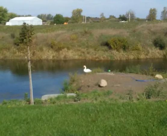 Allendale Conservation Club