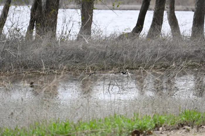 Marshall State Fish and Wildlife Area. 0