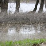 Marshall State Fish and Wildlife Area.