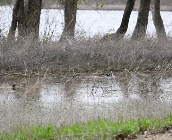 Marshall State Fish and Wildlife Area.