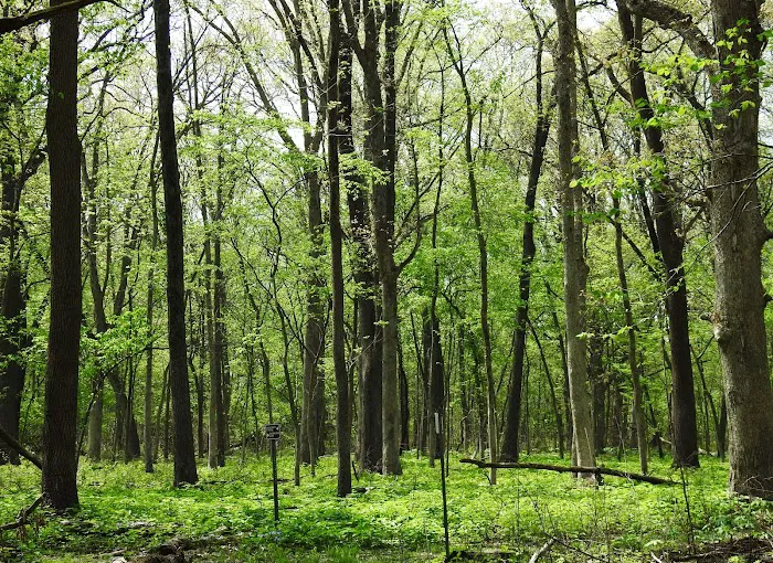 Marshall State Fish and Wildlife Area. 8