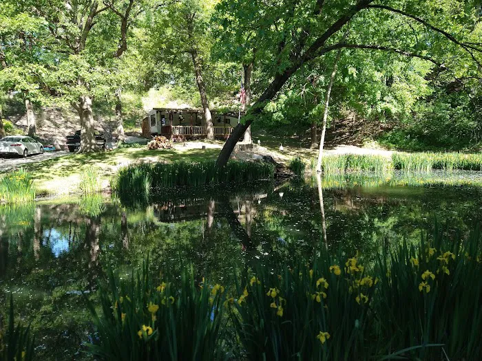 Gamber Cove Campground 2