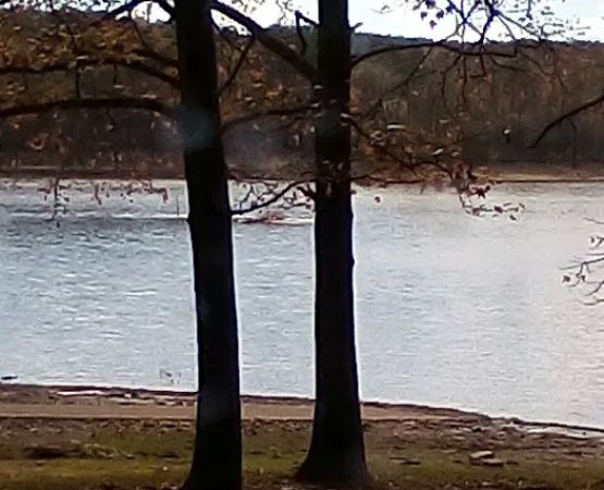 Recreation Area With Campground