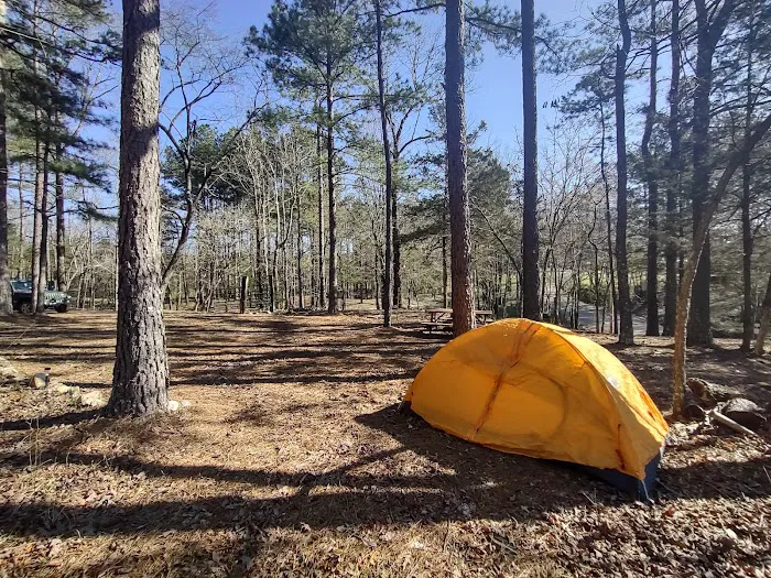 Fancy Hill Campground 6
