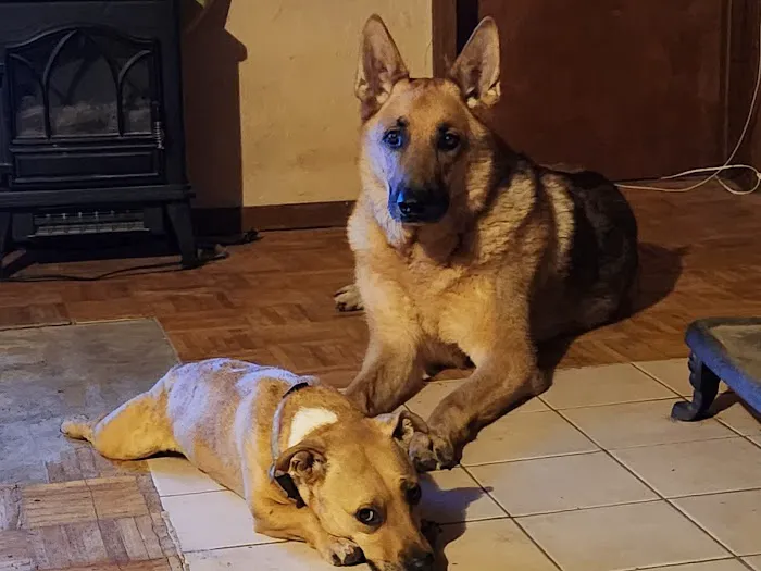 ScrappyJax 6