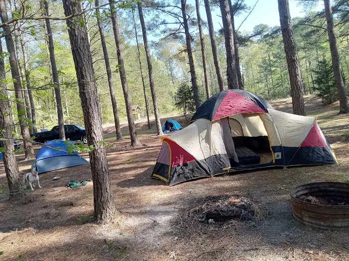 Miners' Camping 2