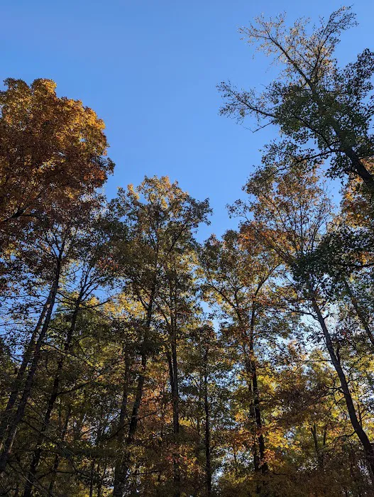 Crystal Recreation Area 6