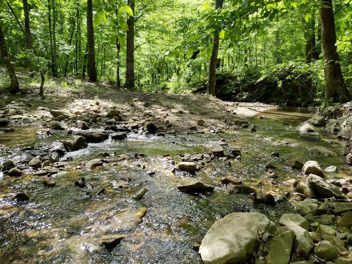Crystal Recreation Area 3