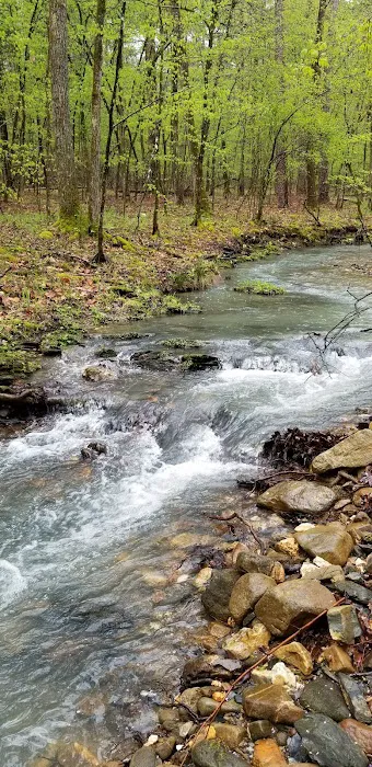 Crystal Recreation Area 8