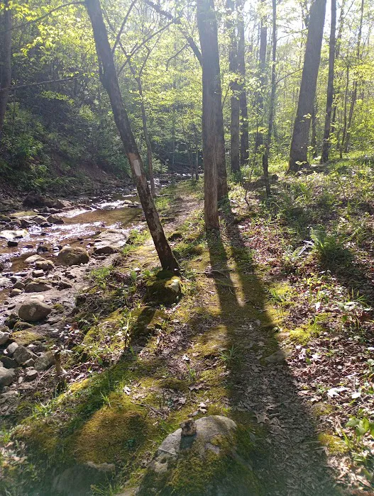 Crystal Recreation Area 9