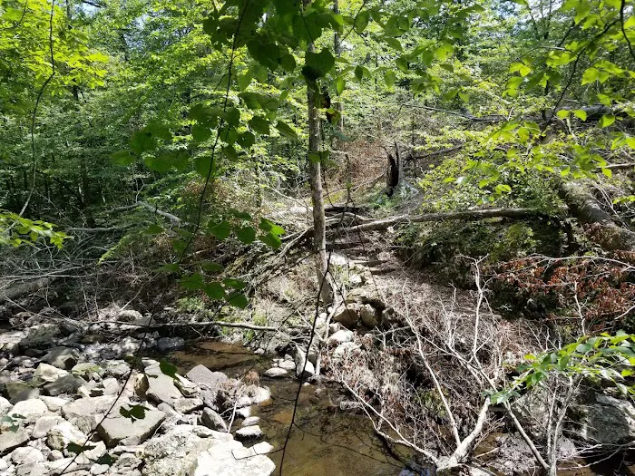 Bard Springs 8