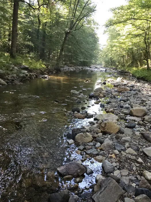 Bard Springs 3