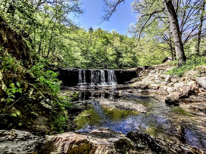 Bard Springs 7