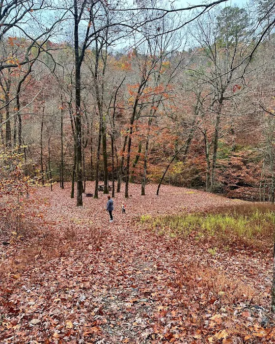 Bard Springs 6