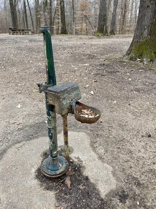 Maple Flat Campground 1