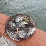 Storm Creek Lake Campground