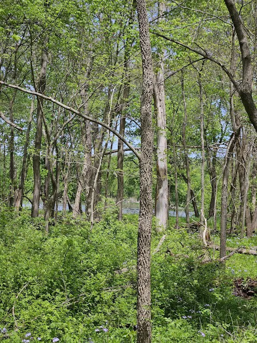 Cedar Valley County Park 7
