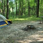 Cottonwood Campground