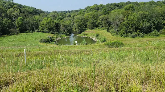Big Hollow Recreation Area 6