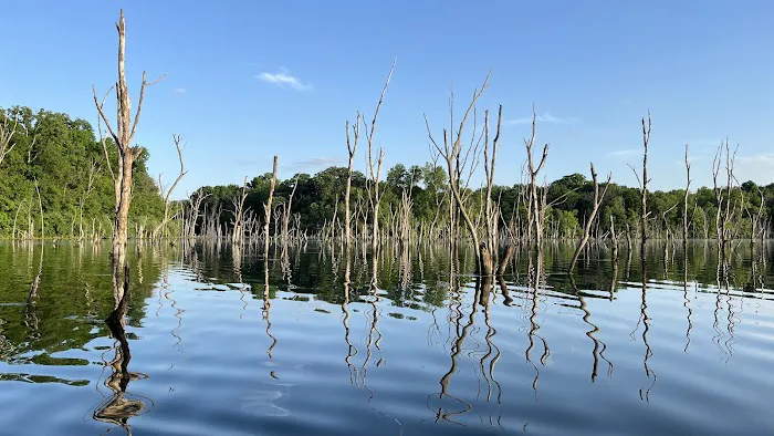 Big Hollow Recreation Area 4