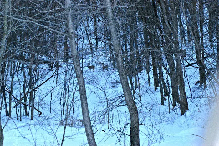 Mount Pisgah...a peaceful place 3