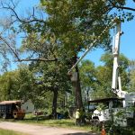 Lost Arrow Campground