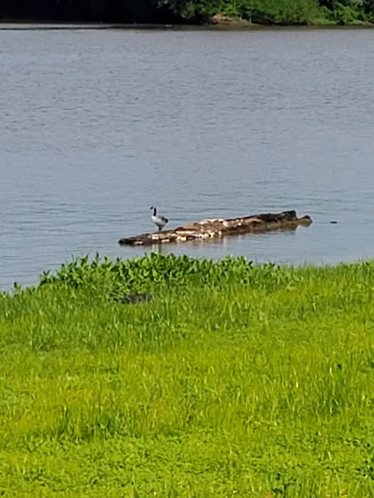Riverfront Park Campground 3