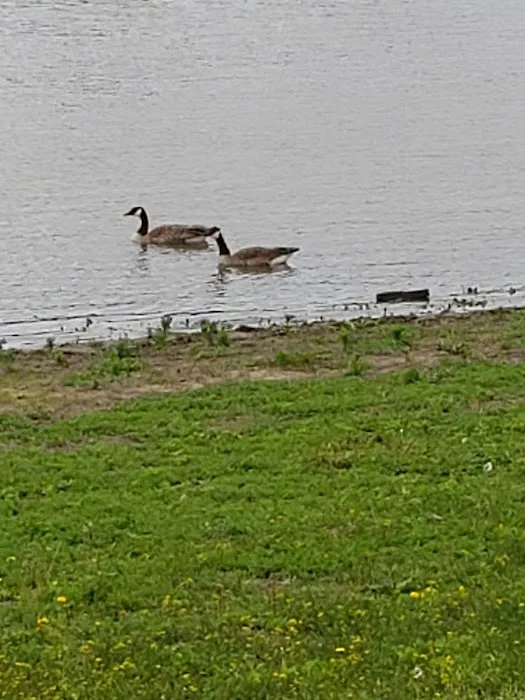 Riverfront Park Campground 7