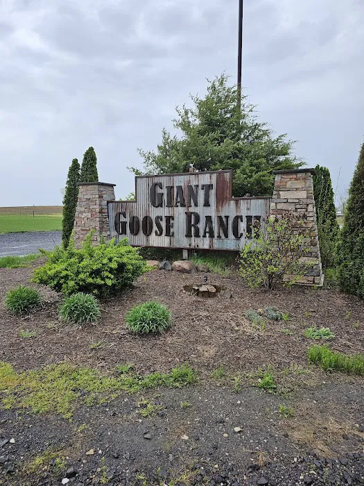 Giant Goose Ranch 0