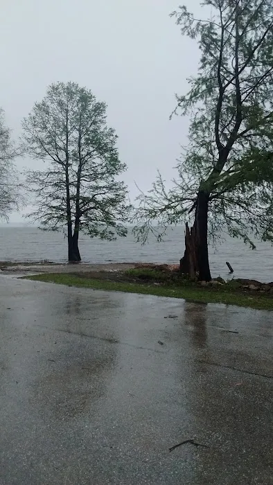 North Campground 8