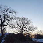 Riverside Park Campground