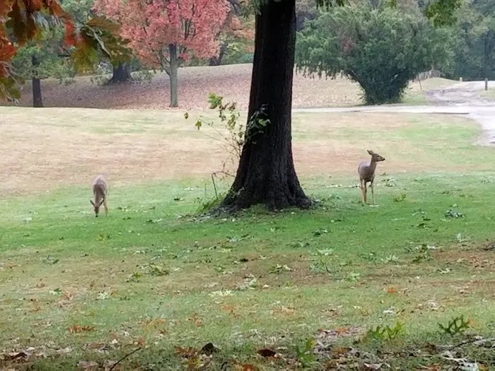Riverside Park Campground 5