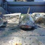 Edge Of The River Resort