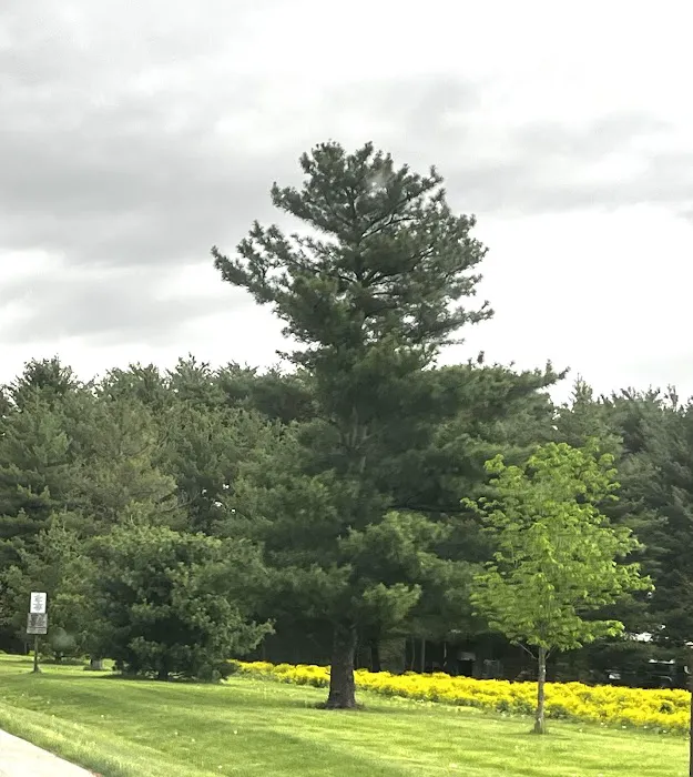 Argyle Lake State Park Campground 4