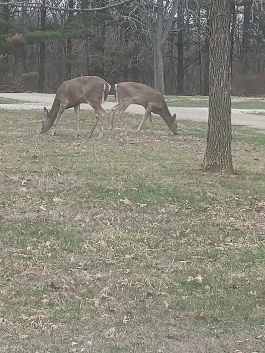 Argyle Lake State Park Campground 6