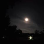 Tower View Campground