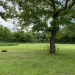 Pietrek Park Camping and RV