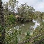 Kickapoo Stump Dodger Campground