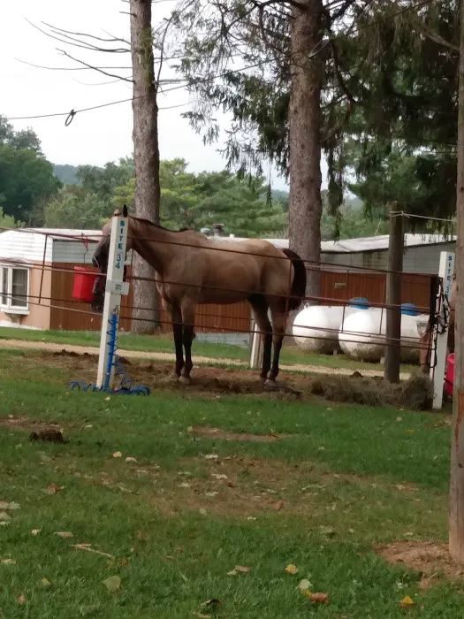 End of The Trail Equine Campground 6