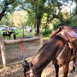 Wild Cat Mountain State Park Equestrian Campground