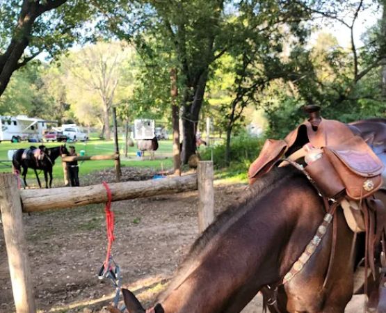 Wild Cat Mountain State Park Equestrian Campground
