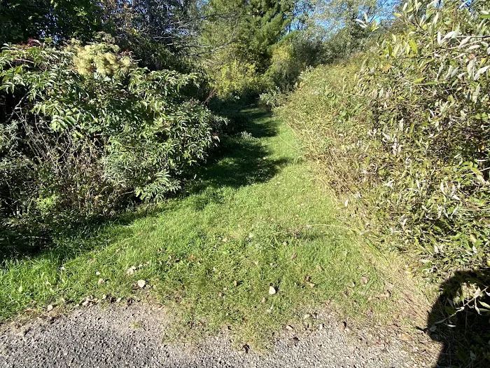 KVR Campsite C 5