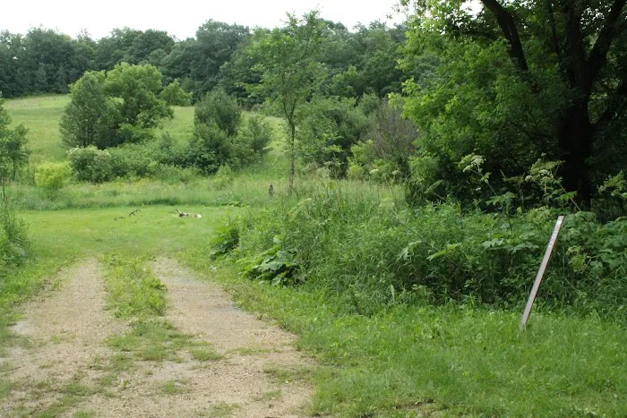 KVR Campsite PP 6