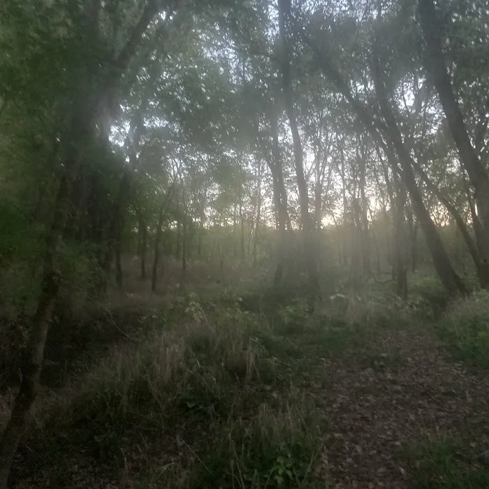Primitive Camping 5